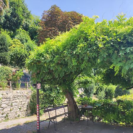 Villa Antonella, App. Vittoria Tavernerio Esterno foto
