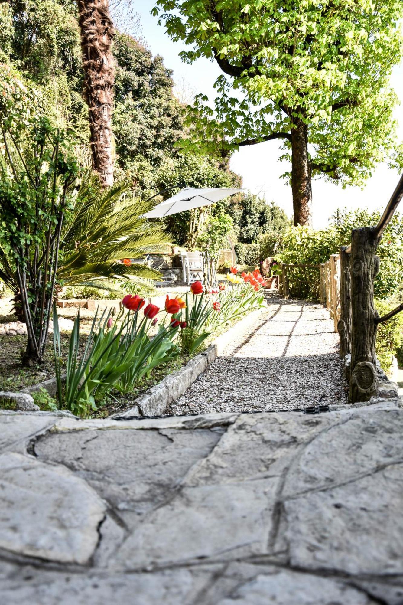 Villa Antonella, App. Vittoria Tavernerio Esterno foto